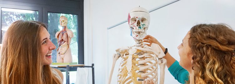 Vorsemester Teilnehmerinnen an einem Skelettmodell